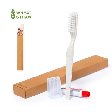 Fogápolási szett (fogkefével és fogkrémmel)